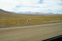 
DSC00222